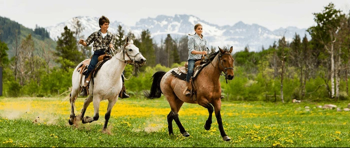 Confident plus-size woman riding Eccles a horse through a field with a smile on her face.